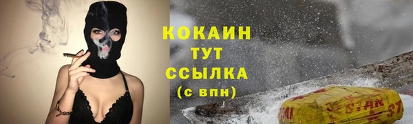ПСИЛОЦИБИНОВЫЕ ГРИБЫ Арсеньев