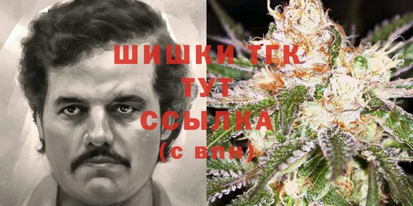 ПСИЛОЦИБИНОВЫЕ ГРИБЫ Арсеньев