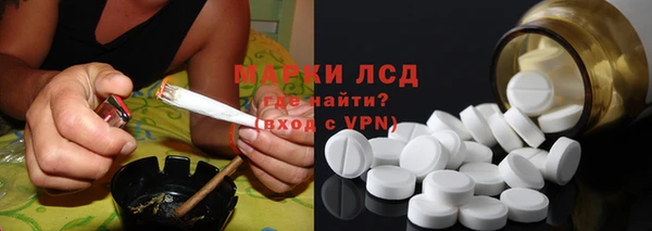 ПСИЛОЦИБИНОВЫЕ ГРИБЫ Арсеньев