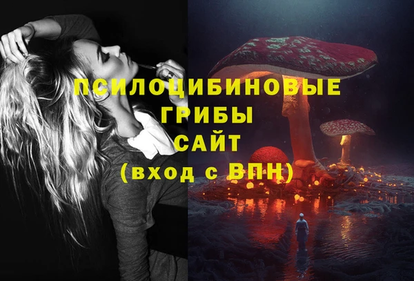 ПСИЛОЦИБИНОВЫЕ ГРИБЫ Арсеньев