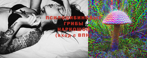 ПСИЛОЦИБИНОВЫЕ ГРИБЫ Арсеньев