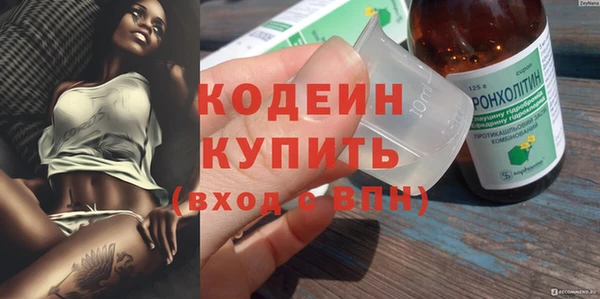 ПСИЛОЦИБИНОВЫЕ ГРИБЫ Арсеньев